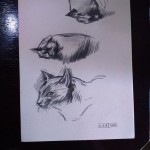 IMG-20170226-WA0028